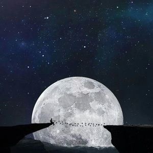 Meet your Posher, Kristy